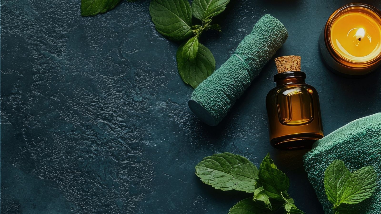 A trusted registry for Beauty & Wellness